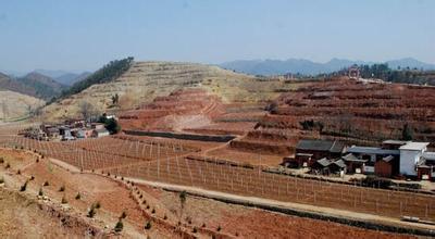 1.76��Ʒ�����˷����