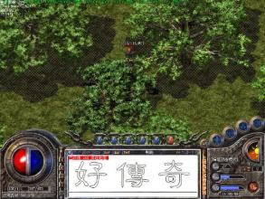 2016����©��