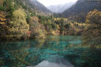 ��Ѫ�������²���