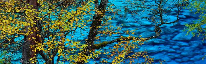 ��̬�Ĵ�����ҳ��Ϸ