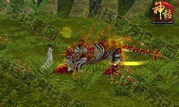 1.76���Ŵ�������ռ�