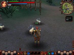 ���������̬���޸���