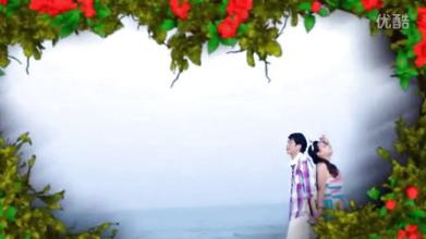 ��Ѫ�����ֻ��湭����װ������