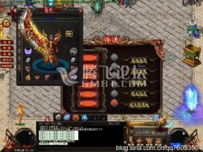 ΢����Ѫ�������ι���