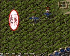 ���ƴ�����ֻ�����