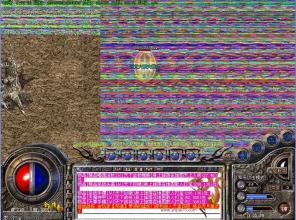 ʢ���������ֻ���