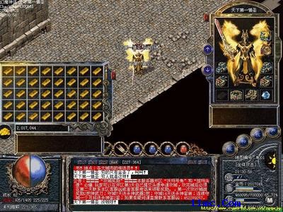 �����¿���̬����