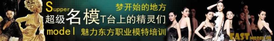 ���Ŵ���˽��2013