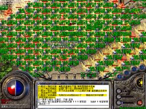 ��ְҵ�������