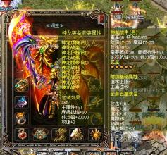 �������Ŵ���˽��