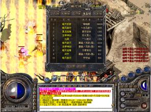 ������ʲô